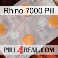 Rhino 7000 Pill 24